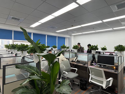 上海屹坦商務(wù)咨詢(xún) 專(zhuān)業(yè)服務(wù)助力企業(yè)高效發(fā)展